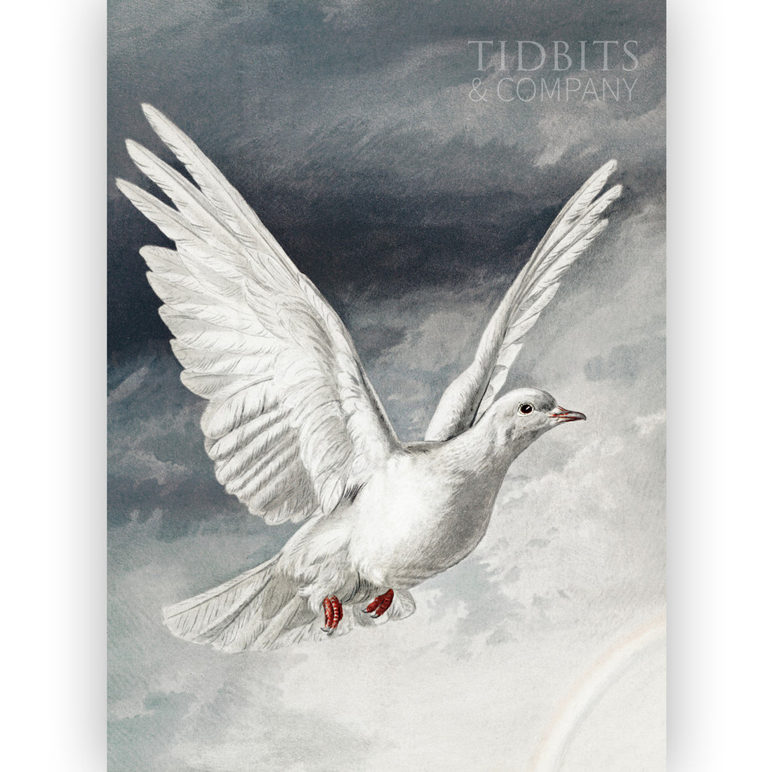 Vintage Art Print | Peace