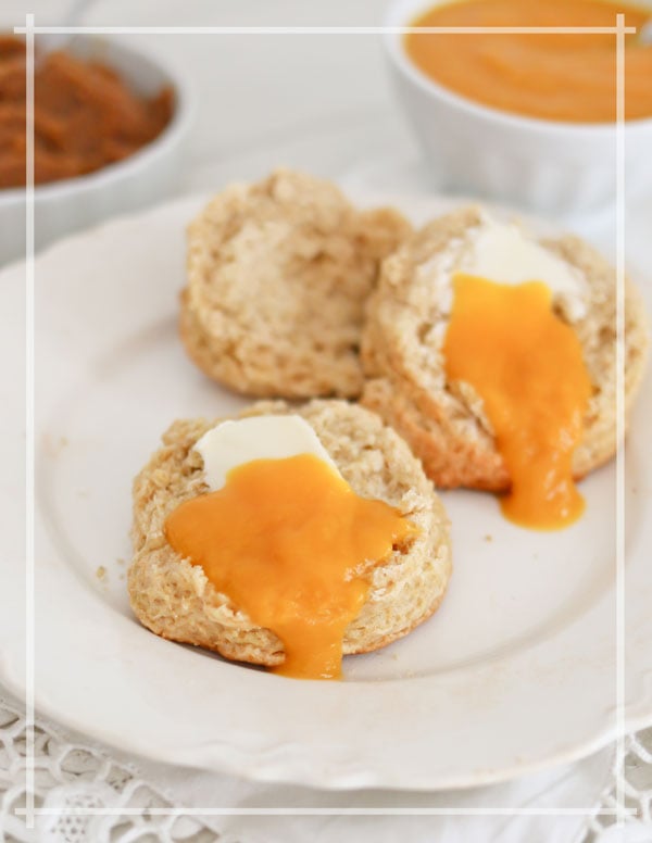 Digital Master the Electric Pressure Cooker Cookbook