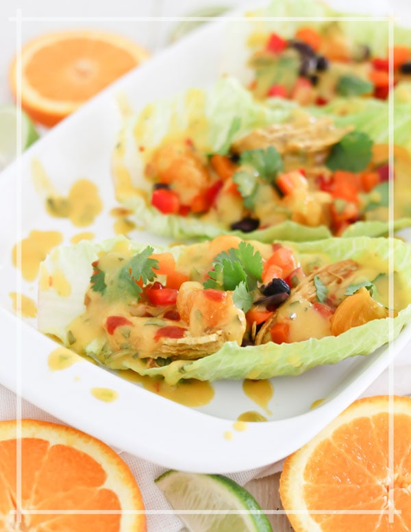 Digital Master the Electric Pressure Cooker Cookbook